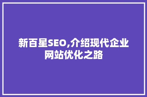 新百星SEO,介绍现代企业网站优化之路