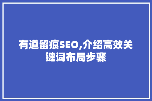 有道留痕SEO,介绍高效关键词布局步骤