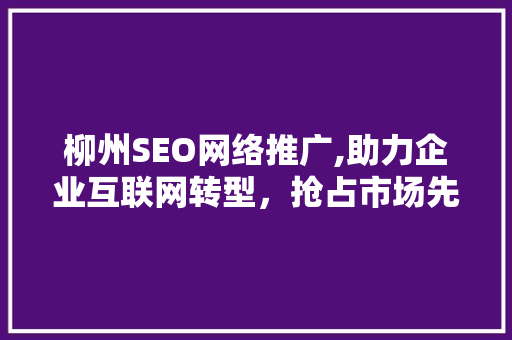 柳州SEO网络推广,助力企业互联网转型，抢占市场先机