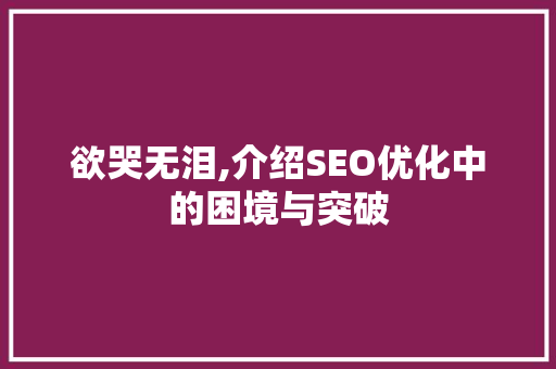 欲哭无泪,介绍SEO优化中的困境与突破