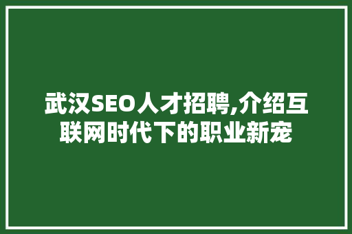 武汉SEO人才招聘,介绍互联网时代下的职业新宠