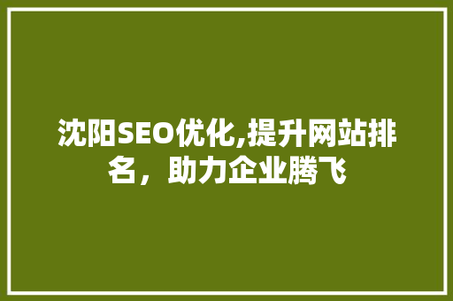 沈阳SEO优化,提升网站排名，助力企业腾飞