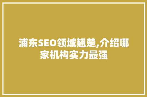 浦东SEO领域翘楚,介绍哪家机构实力最强