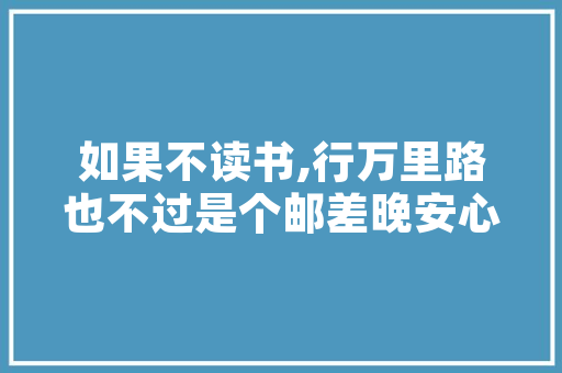 深耕SEO领域，威海技术公司引领网络营销新潮流