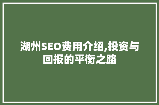 湖州SEO费用介绍,投资与回报的平衡之路