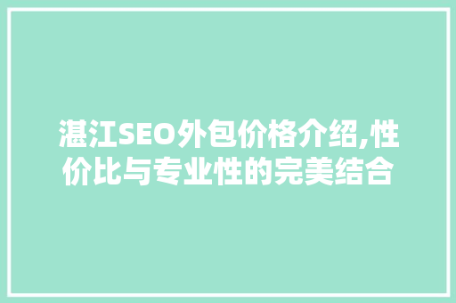 湛江SEO外包价格介绍,性价比与专业性的完美结合