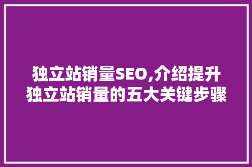 独立站销量SEO,介绍提升独立站销量的五大关键步骤