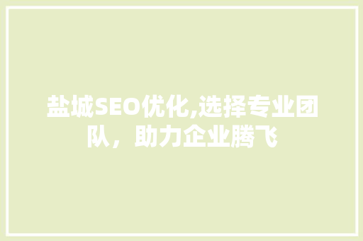 盐城SEO优化,选择专业团队，助力企业腾飞