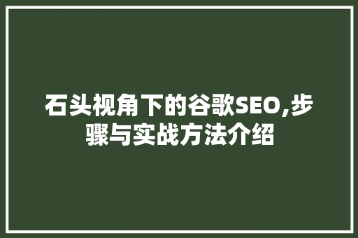 石头视角下的谷歌SEO,步骤与实战方法介绍
