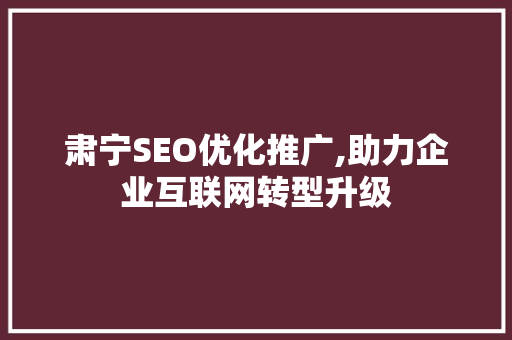 肃宁SEO优化推广,助力企业互联网转型升级