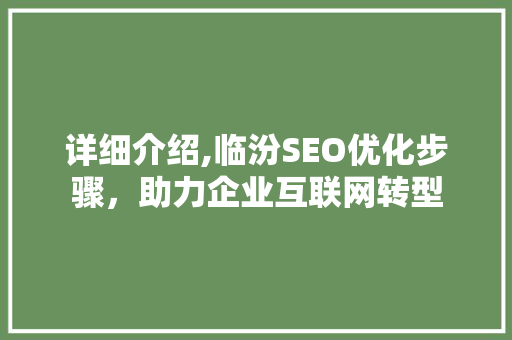 详细介绍,临汾SEO优化步骤，助力企业互联网转型