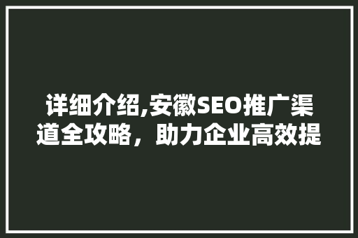 详细介绍,安徽SEO推广渠道全攻略，助力企业高效提升网络曝光度