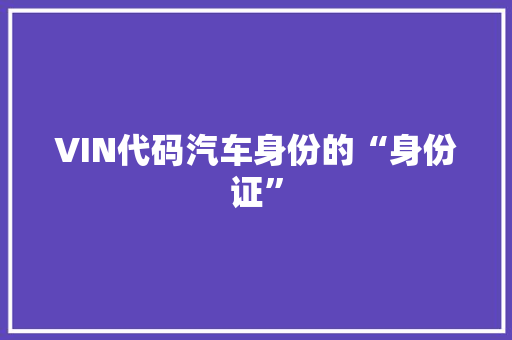 VIN代码汽车身份的“身份证”