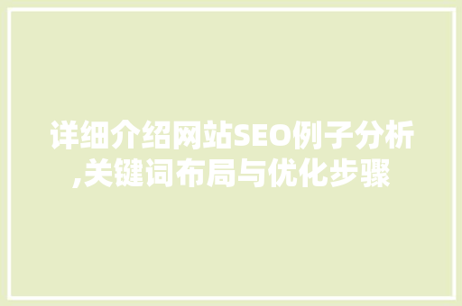 详细介绍网站SEO例子分析,关键词布局与优化步骤