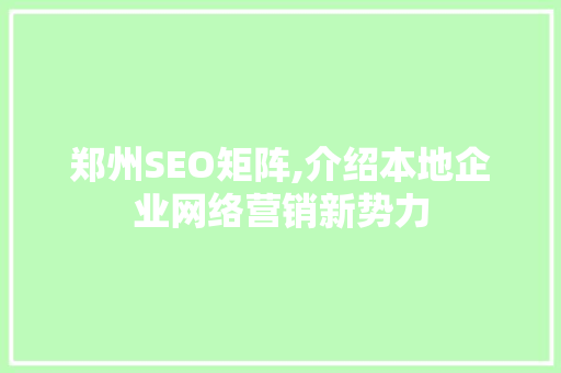 郑州SEO矩阵,介绍本地企业网络营销新势力