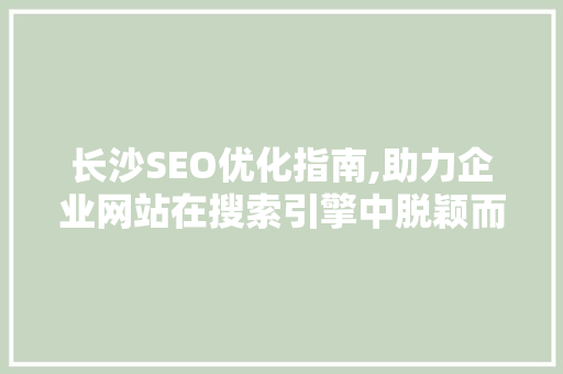 长沙SEO优化指南,助力企业网站在搜索引擎中脱颖而出