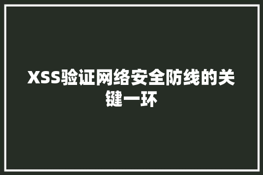 XSS验证网络安全防线的关键一环