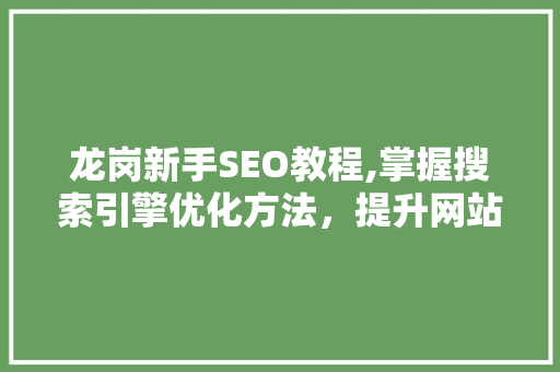 龙岗新手SEO教程,掌握搜索引擎优化方法，提升网站排名  第1张