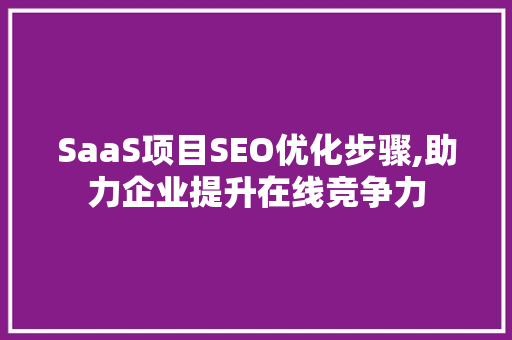 SaaS项目SEO优化步骤,助力企业提升在线竞争力