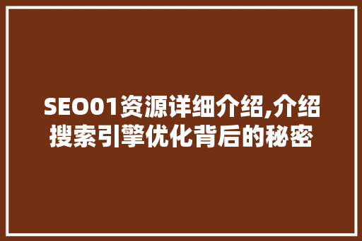 SEO01资源详细介绍,介绍搜索引擎优化背后的秘密