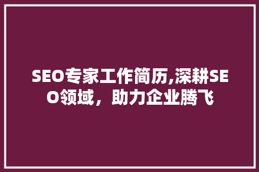 SEO专家工作简历,深耕SEO领域，助力企业腾飞