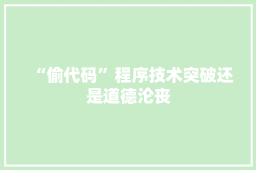 “偷代码”程序技术突破还是道德沦丧