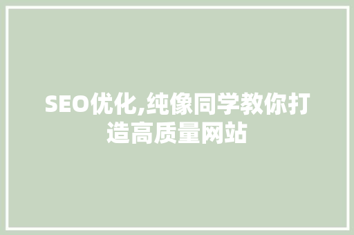 SEO优化,纯像同学教你打造高质量网站