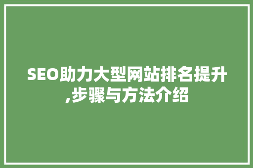SEO助力大型网站排名提升,步骤与方法介绍  第1张
