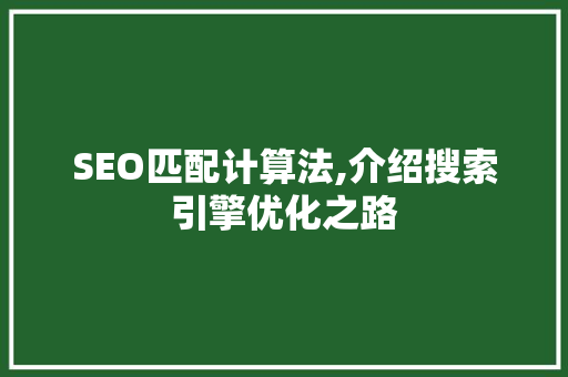 SEO匹配计算法,介绍搜索引擎优化之路
