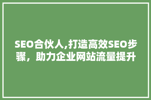 SEO合伙人,打造高效SEO步骤，助力企业网站流量提升