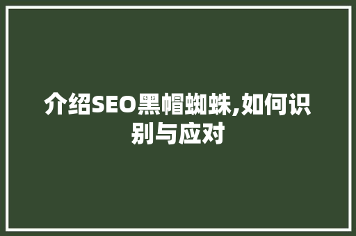 介绍SEO黑帽蜘蛛,如何识别与应对  第1张