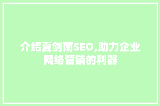 介绍夏剑雨SEO,助力企业网络营销的利器
