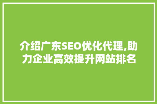 介绍广东SEO优化代理,助力企业高效提升网站排名