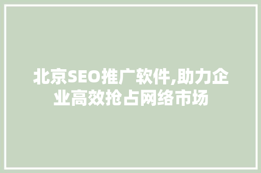 北京SEO推广软件,助力企业高效抢占网络市场