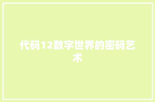 代码12数字世界的密码艺术