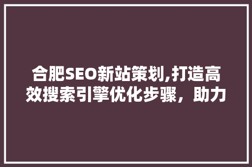 合肥SEO新站策划,打造高效搜索引擎优化步骤，助力企业网络营销