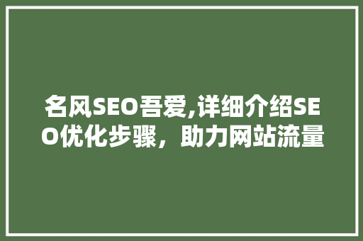 名风SEO吾爱,详细介绍SEO优化步骤，助力网站流量增长