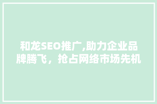 和龙SEO推广,助力企业品牌腾飞，抢占网络市场先机
