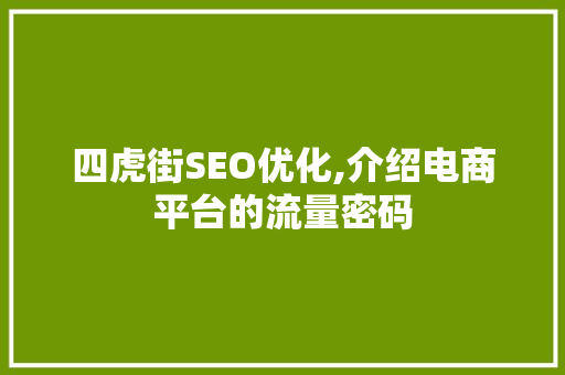 四虎街SEO优化,介绍电商平台的流量密码