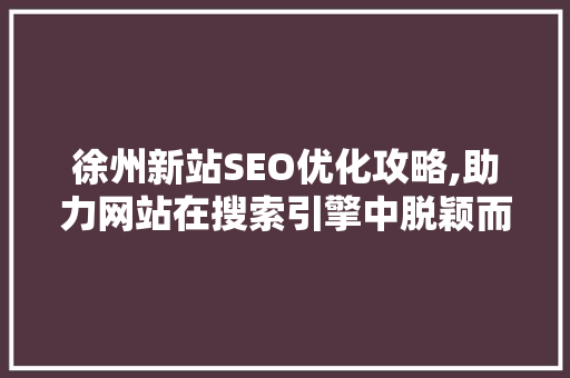 徐州新站SEO优化攻略,助力网站在搜索引擎中脱颖而出  第1张
