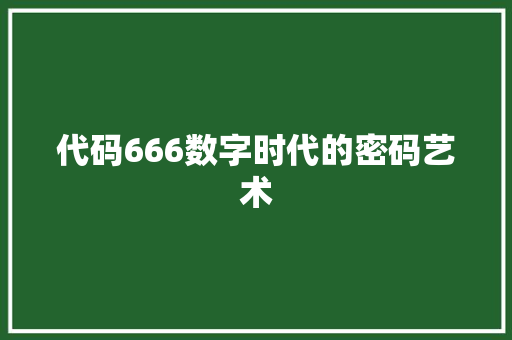代码666数字时代的密码艺术