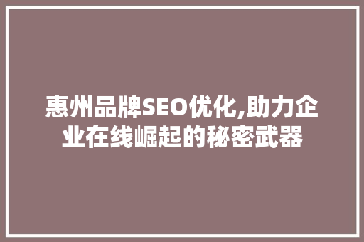 惠州品牌SEO优化,助力企业在线崛起的秘密武器