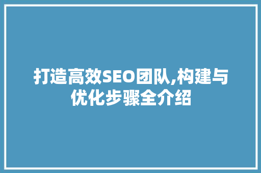 打造高效SEO团队,构建与优化步骤全介绍
