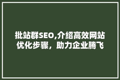 批站群SEO,介绍高效网站优化步骤，助力企业腾飞  第1张