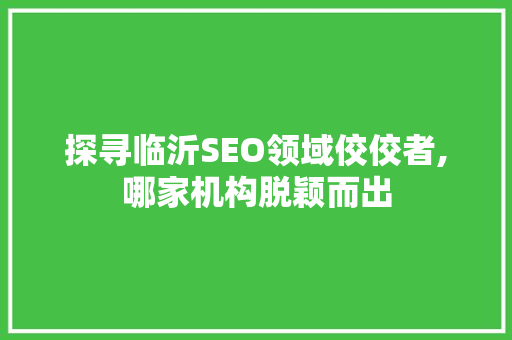 探寻临沂SEO领域佼佼者,哪家机构脱颖而出