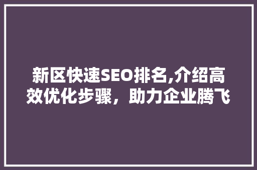 新区快速SEO排名,介绍高效优化步骤，助力企业腾飞  第1张