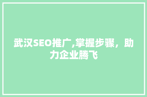 武汉SEO推广,掌握步骤，助力企业腾飞