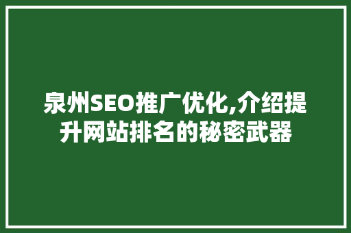 泉州SEO推广优化,介绍提升网站排名的秘密武器