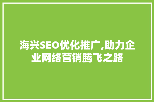 海兴SEO优化推广,助力企业网络营销腾飞之路
