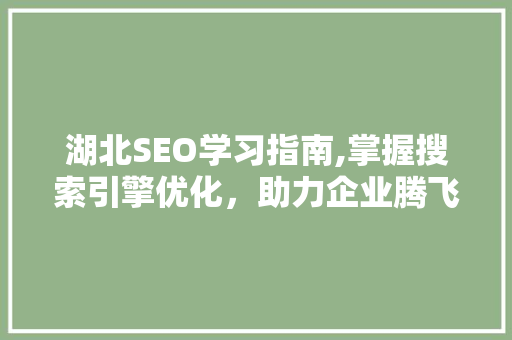 湖北SEO学习指南,掌握搜索引擎优化，助力企业腾飞